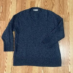 Everlane Blue White Marled Cotton Knit V-Neck Pullover Loose Fit Sweater Large